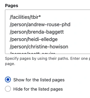 example of show block on certain pages screen