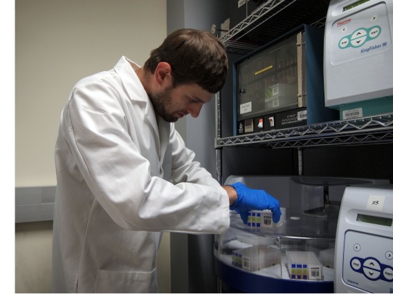 technician loads DNA extraction robot