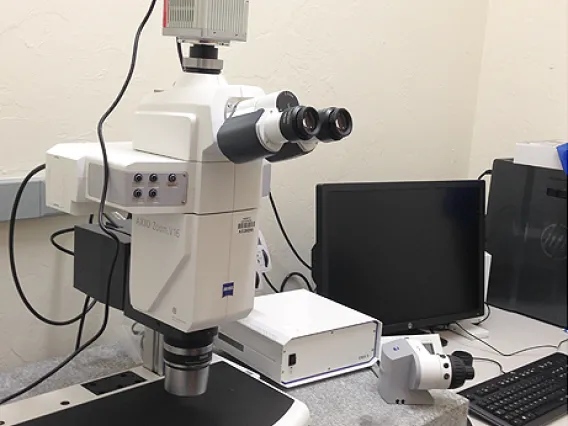 Zeiss_Axiozoom16