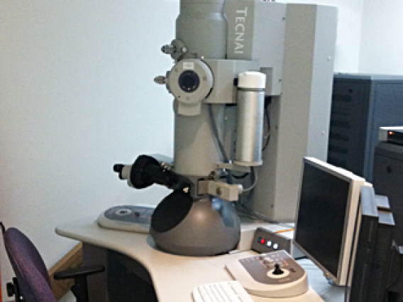 FEI Tecnai spirit transmission electron microscope