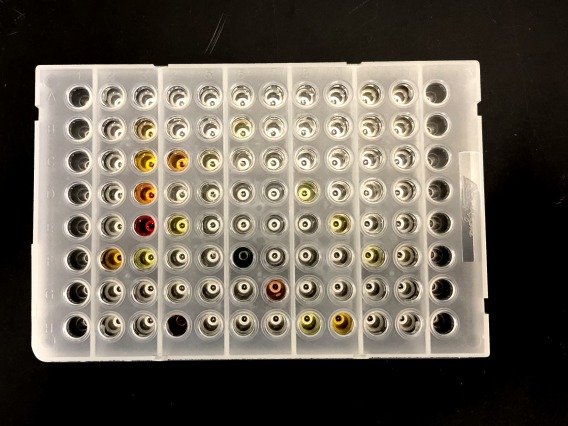 Abgene 96-well plate of compounds